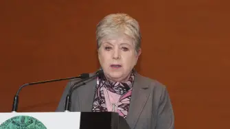 Alicia Bárcena Ibarra, secretaria de Medio Ambiente y Recursos Naturales.