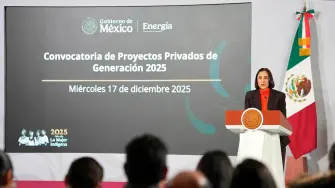 Luz Elena González, titular de la Secretaría de Energía.