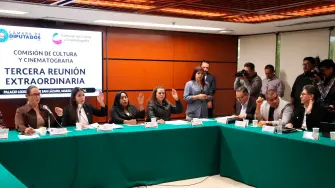 Comisión de Cultura y Cinematografía de la Cámara de Diputados.