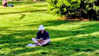 Según Expedia, el 91% de los encuestados mencionó estar interesados en realizar un viaje enfocado en la lectura y la relajación.