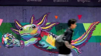 Un joven pasa junto a un muro con una imagen del ajolote pintado en un muro de la Ciudad de México. Su uso en imágenes públicas con motivo de la Copa Mundial de la FIFA 2026 ha generado división entre los residentes, quienes afirman que se debe hacer más para proteger su hábitat.