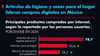 Artículos de higiene y cosas para el hogar lideran compras digitales en México.