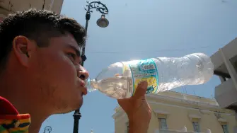 El Economista