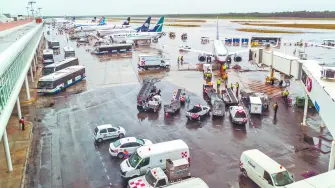 También se harán cargo de que se inspeccione el equipaje facturado antes de embarcarlo a bordo de un avión.