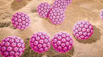 Virus del papiloma humano. Foto: Science Photo Library / The Conversation