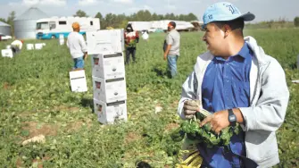 Los migrantes figuran entre las fuerzas laborales más flexibles, móviles y versátiles de EU. Foto: AFP