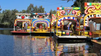 En Xochimilco 7 de cada 10 personas consideran que es peligroso vivir ahí; este nivel de percepción de inseguridad es el más alto de las 16 alcaldías de la Ciudad de México.

Para más información del tema, visita: https://www.eleconomista.com.mx/politica/xochimilco-alcaldia-insegura-cdmx-habitantes-20241029-732002.html

¡Síguenos en nuestras redes sociales para mantenerte informado!

Twitter: https://twitter.com/eleconomista 
Facebook: https://www.facebook.com/ElEconomista.mx
Instagram: https://www.instagram.com/eleconomistamx
LinkedIn: https://www.linkedin.com/company/el-economista/

#ElEconomista #EETV