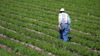 La relación trilateral de México, Estados Unidos y Canadá ha permitido lograr una autosuficiencia alimentaria del 112% como bloque comercial, la cual se podría ver afectada con la imposición de aranceles del nuevo gobierno de Donald Trump, en donde nuestro país vería afectado su principal mercado de exportación.

Para más información del tema, visita: https://www.eleconomista.com.mx/empresas/aranceles-nuevo-gobierno-trump-afectaran-relacion-agropecuaria-trilateral-gcma-20241112-733861.html

¡Síguenos en nuestras redes sociales para mantenerte informado!

Twitter: https://twitter.com/eleconomista 
Facebook: https://www.facebook.com/ElEconomista.mx
Instagram: https://www.instagram.com/eleconomistamx
LinkedIn: https://www.linkedin.com/company/el-economista/

#ElEconomista #EETV
