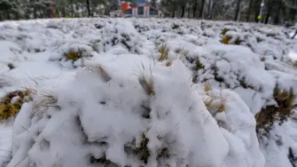 Después de varios días de bajas temperaturas el Volcán Xinantécatl nos ofreció un paisaje nevado, en las siguientes horas se esperan bajas temperaturas debido al frente frío número 23 y su masa de aire polar.