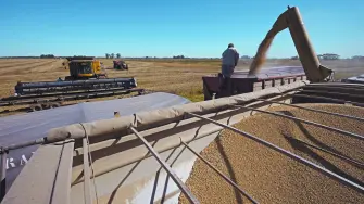 Según las proyecciones de consultoras, en 2025 las exportaciones crecerían 7%, de la mano de una buena cosecha de soya y ventas del sector energético, mientras que las importaciones mostrarían un gran dinamismo en línea con la recuperación económica, la mayor apertura comercial, y desregulación. (Photo by Juan MABROMATA / AFP)