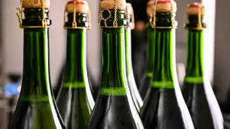 La última amenaza de Donald Trump va dirigida a las bebidas alcohólicas procedentes de la Unión Europea para las que anuncia un arancel del 200 por ciento.

Para más información del tema, visita: https://www.eleconomista.com.mx/empresas/afectara-nueva-amenaza-aranceles-trump-vino-espanol-20250313-750381.html

¡Síguenos en nuestras redes sociales para mantenerte informado!

Twitter: https://twitter.com/eleconomista 
Facebook: https://www.facebook.com/ElEconomista.mx
Instagram: https://www.instagram.com/eleconomistamx
LinkedIn: https://www.linkedin.com/company/el-economista/

#ElEconomista #EETV