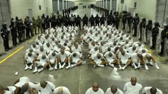 El Salvador recluyó este domingo en una cárcel de máxima seguridad a 238 presuntos miembros de la banda criminal Tren de Aragua y 23 de la pandilla Mara Salvatrucha, enviados por el presidente estadounidense, Donald Trump, tras invocar una ley de tiempos de guerra para expulsarlos.

¡Síguenos en nuestras redes sociales para mantenerte informado!

Twitter: https://twitter.com/eleconomista 
Facebook: https://www.facebook.com/ElEconomista.mx
Instagram: https://www.instagram.com/eleconomistamx
LinkedIn: https://www.linkedin.com/company/el-economista/

#ElEconomista #EETV #AFP