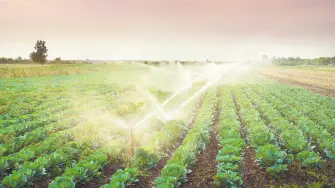 Descripción automática