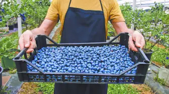 Descripción automática