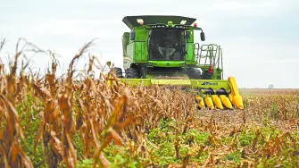 Descripción automática