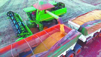 Descripción automática