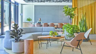 Oficinas de Belkin en California, donde la innovación tecnológica y la sostenibilidad se integran en cada etapa del diseño.