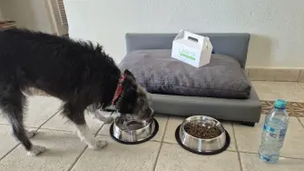 En la habitación, Pierre Mundo Imperial tiene preparada la cama, los platos y detalles para la mascota.