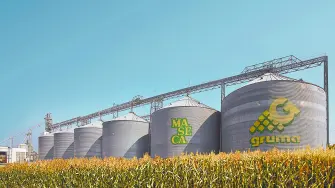 Descripción automática