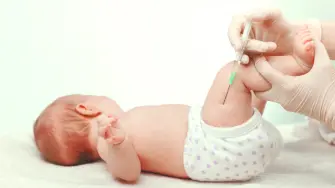 Descripción automática