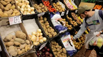 Los precios de los alimentos a nivel mundial aumentaron en julio un 1.6% respecto al mes anterior, principalmente debido al alza en los precios de la carne y de los aceites vegetales, informó este viernes la FAO.