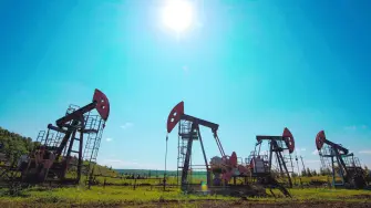 Descripción automática