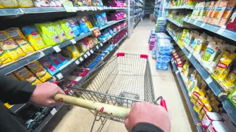 Descripción automática