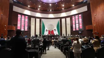 Sesión ordinaria en el pleno de la Cámara de Diputados. Foto EE: Cámara de Diputados