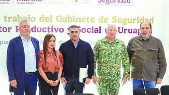 Descripción automática