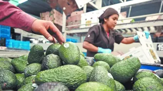 Estados Unidos había impuesto aranceles de al menos el 10% a la mayoría de las importaciones desde abril, con tasas más altas en agosto.

Para más información del tema, visita: https://www.eleconomista.com.mx/empresas/trump-quita-aranceles-aguacate-otros-productos-agropecuarios-20251114-786711.html 

¡Síguenos en nuestras redes sociales para mantenerte informado!

Twitter: https://twitter.com/eleconomista 
Facebook: https://www.facebook.com/ElEconomista.mx
Instagram: https://www.instagram.com/eleconomistamx
LinkedIn: https://www.linkedin.com/company/el-economista/

#ElEconomista #Aranceles #Trump