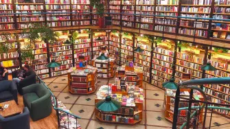 Entre los lectores en México se observa que el 70% de ellos lee libros, lo que posiciona a este contenido como el más consumido. En la segunda posición se ubican los blogs o foros de internet, consumidos por el 58% de los lectores.

Para más información del tema, visita: https://www.eleconomista.com.mx/arteseideas/8-10-mexicanos-declara-haber-leido-contenido-digital-impreso-molec-20251118-787116.html

¡Síguenos en nuestras redes sociales para mantenerte informado!

Twitter: https://twitter.com/eleconomista 
Facebook: https://www.facebook.com/ElEconomista.mx
Instagram: https://www.instagram.com/eleconomistamx
LinkedIn: https://www.linkedin.com/company/el-economista/

#ElEconomista #EETV