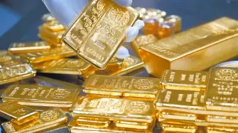 Descripción automática