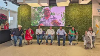 walmart pequeño productor