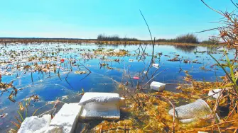 Descripción automática