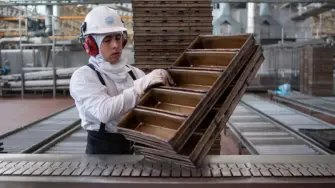 La creación de empleo formal muestra un menor ritmo en 2025. De acuerdo con datos del IMSS, al cierre de noviembre se han generado 599,389 puestos de trabajo, cifra menor al 3.21% de los empleos registrados en el mismo periodo de 2024.

Para más información del tema, visita: https://www.eleconomista.com.mx/capital-humano/empleo-mexico-imss-registro-48-595-nuevos-puestos-formales-noviembre-20251209-790383.html

¡Síguenos en nuestras redes sociales para mantenerte informado!

Twitter: https://twitter.com/eleconomista 
Facebook: https://www.facebook.com/ElEconomista.mx
Instagram: https://www.instagram.com/eleconomistamx
LinkedIn: https://www.linkedin.com/company/el-economista/

#ElEconomista #EETV