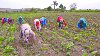 Tamaulipas, Nuevo León, Chihuahua y Coahuila son los que sufrirían, principalmente, las consecuencias.