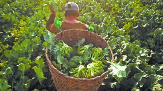 Descripción automática