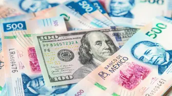 Descripción automática