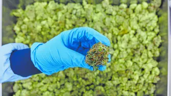 Descripción automática