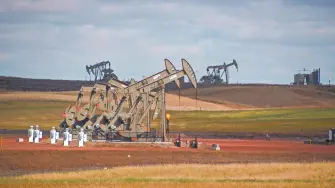 Descripción automática