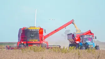 Descripción automática