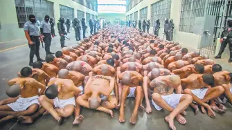 Descripción automática