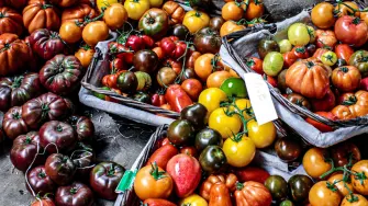 La ANPEC dio a conocer que la canasta básica alimentaria se encareció 0.80% a nivel nacional en diciembre, con alzas importantes en alimentos como jitomate y chile jalapeño.