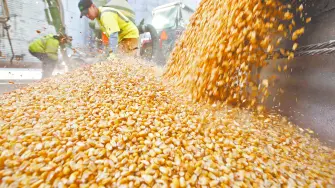 Descripción automática