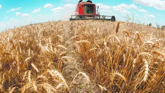 Descripción automática