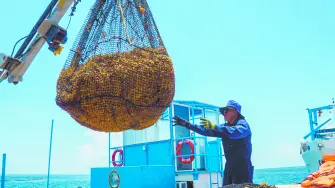 Descripción automática