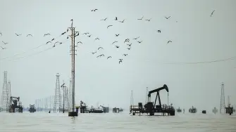 Descripción automática