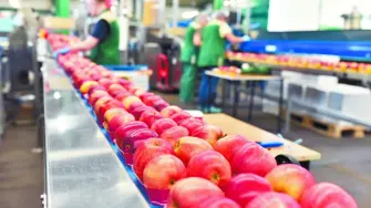 La ‍Secretaría ​de Economía ⁠aceptó una ‌solicitud para iniciar un proceso de ​investigación ⁠antidumping de la importación de manzanas de Estados Unidos, tras encontrar indicios de comercialización ​a precios ​inferiores ‍a su ⁠valor normal.

Para más información del tema, visita: https://www.eleconomista.com.mx/empresas/mexico-inicia-investigacion-antidumping-manzanas-estados-unidos-20260107-794167.html

¡Síguenos en nuestras redes sociales para mantenerte informado!

Twitter: https://twitter.com/eleconomista 
Facebook: https://www.facebook.com/ElEconomista.mx
Instagram: https://www.instagram.com/eleconomistamx
LinkedIn: https://www.linkedin.com/company/el-economista/

#ElEconomista #EETV