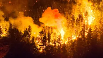 El principal foco de incendio forestal en la Patagonia argentina consumía hasta este viernes unas 3.500 hectáreas y ha provocado la evacuación de miles de personas, confirmaron autoridades de la provincia de Chubut (sur).

¡Síguenos en nuestras redes sociales para mantenerte informado!

Twitter: https://twitter.com/eleconomista 
Facebook: https://www.facebook.com/ElEconomista.mx
Instagram: https://www.instagram.com/eleconomistamx
LinkedIn: https://www.linkedin.com/company/el-economista/

#ElEconomista #Incendio #Patagonia