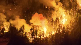 El principal foco de incendio forestal en la Patagonia argentina consumía hasta este sábado más de 5.500 hectáreas, mientras cientos de brigadistas y vecinos voluntarios trabajaban al límite para frenar un fuego fuera de control que mantiene en vilo a las pequeñas comunidades de la región.

¡Síguenos en nuestras redes sociales para mantenerte informado!

Twitter: https://twitter.com/eleconomista 
Facebook: https://www.facebook.com/ElEconomista.mx
Instagram: https://www.instagram.com/eleconomistamx
LinkedIn: https://www.linkedin.com/company/el-economista/
T

#ElEconomista #EETV